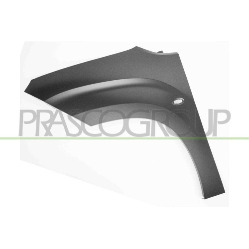Kotflügel Prasco CI9243014 für Citroën Opel Peugeot Toyota Vorne Links