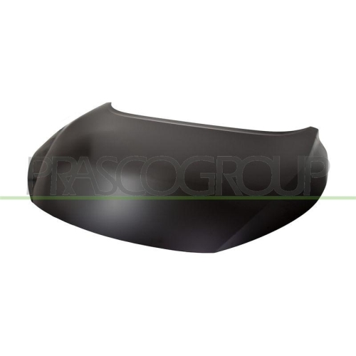 Motorhaube Prasco DS7143100 für Nissan
