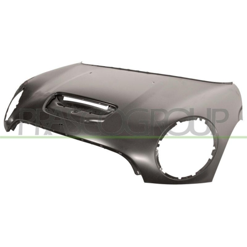 Motorhaube Prasco MN3083110 für Mini