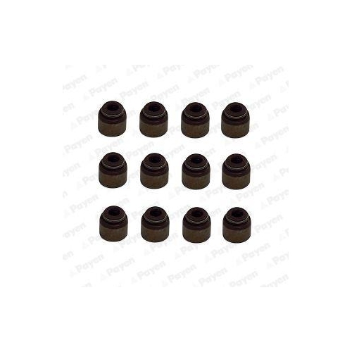 Dichtungssatz Ventilschaft Payen HR5133 f&uuml;r Nissan Renault Hyundai Kia