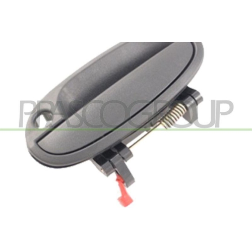 Türaußengriff Prasco DW3248002 für Chevrolet Außen Vorne Links