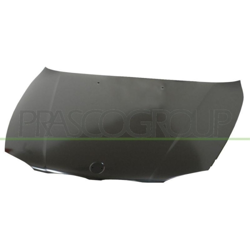 Bonnet Prasco BM1203100 Premium for Bmw