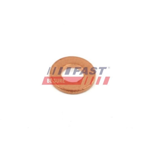 Wärmeschutzscheibe Einspritzanlage Fast FT49848 für Ford Citroën Peugeot DS Fiat