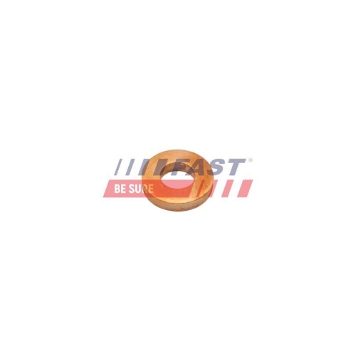 W&auml;rmeschutzscheibe Einspritzanlage Fast FT47801 f&uuml;r General Motors Suzuki Nissan