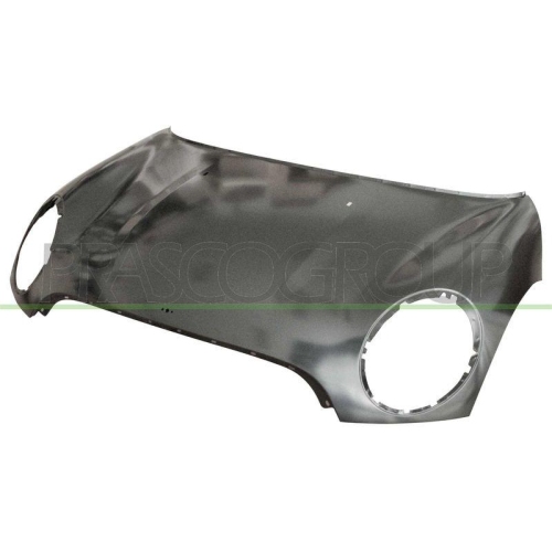 Motorhaube Prasco MN3103100 für Mini