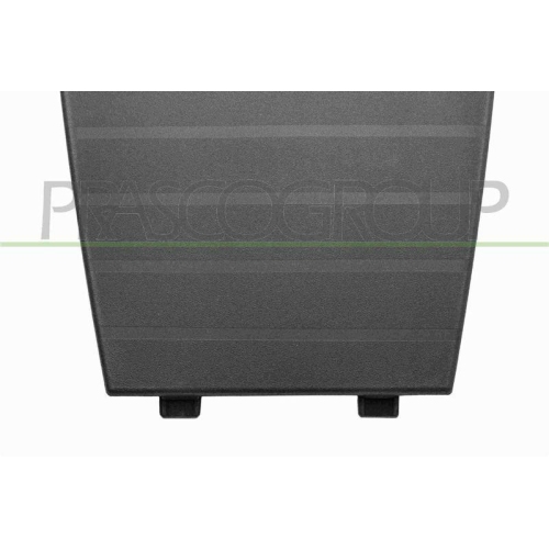 Blende Sto&szlig;f&auml;nger Prasco PG5042105 f&uuml;r Peugeot Vorne