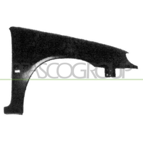 Kotfl&uuml;gel Prasco CI0223003 f&uuml;r Citro&euml;n Vorne Rechts