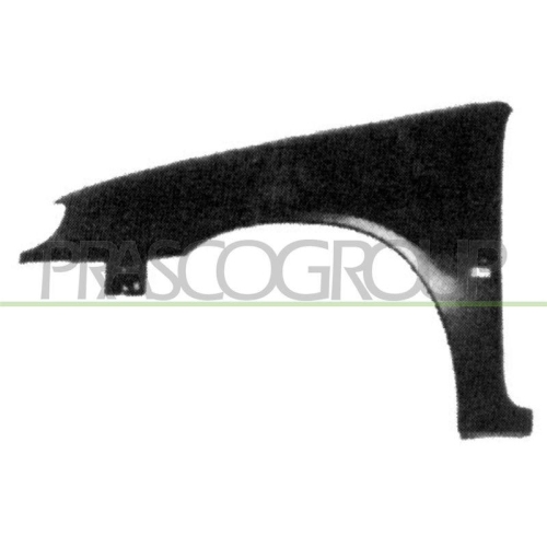 Kotfl&uuml;gel Prasco CI0223004 f&uuml;r Citro&euml;n Vorne Links