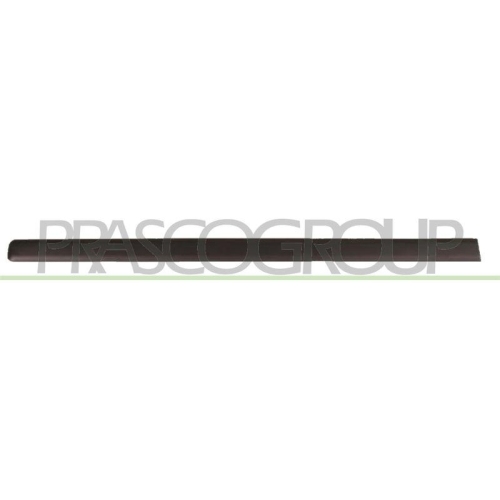 Zier /schutzleiste T&uuml;r Prasco FT1221404 f&uuml;r Fiat Vorne Links