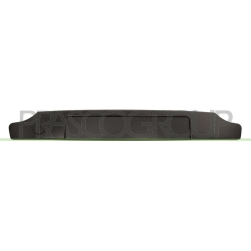 Zier /schutzleiste Sto&szlig;f&auml;nger Prasco RN2011245 f&uuml;r Renault Vorne