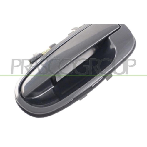 T&uuml;rau&szlig;engriff Prasco HN7158102 f&uuml;r Hyundai Au&szlig;en Hinten Links