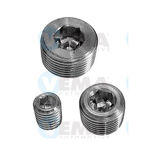 Screw Plug Crankcase Vema 3245 for