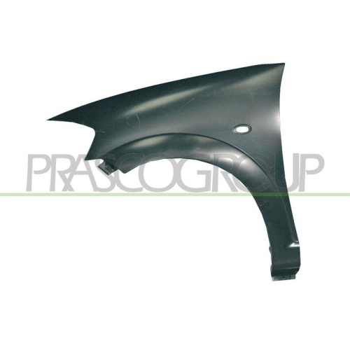 Kotfl&uuml;gel Prasco CI3203014 Premium f&uuml;r Citro&euml;n Vorne Links