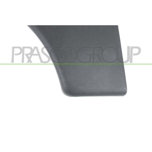 Zier /schutzleiste T&uuml;r Prasco CI9151402 f&uuml;r Citro&euml;n Vorne Links