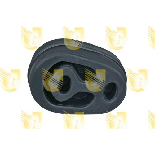 Halter Abgasanlage Unigom 165019 für Ford
