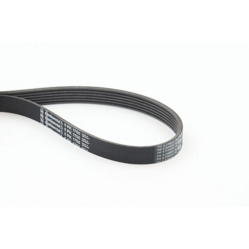 Keilrippenriemen Continental Ctam 6PK1750 f&uuml;r Alfa Romeo Chrysler Citro&euml;n Fiat