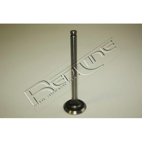 Auslassventil Red-line 15DW005 f&uuml;r Chevrolet Daewoo