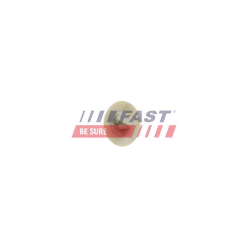 Clip Zier /schutzleiste Fast FT96608 f&uuml;r Fiat Iveco Nissan Opel Renault
