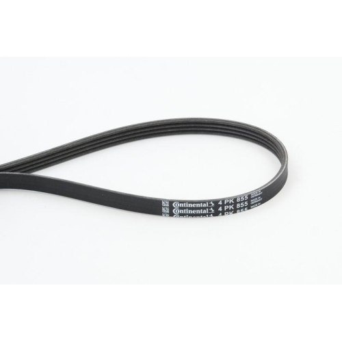 Keilrippenriemen Continental Ctam 4PK855 f&uuml;r Audi Bmw Daihatsu Fiat Lancia Skoda