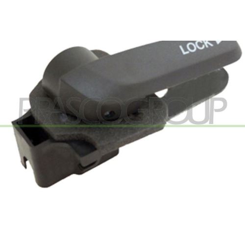 Türgriff Innenausstattung Prasco FT9098402 für Fiat Innen Vorne Links