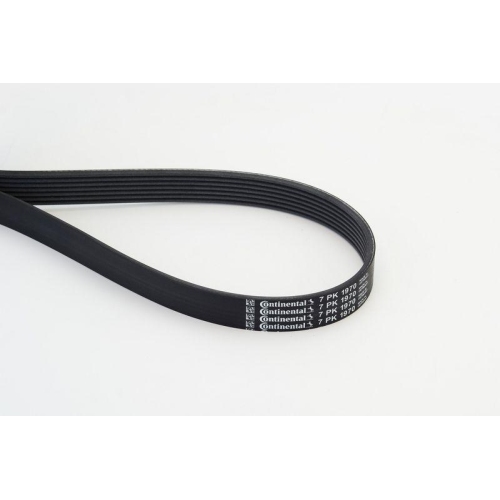 Keilrippenriemen Continental Ctam 7PK1970 f&uuml;r Mercedes Benz Mercedes Benz Nissan