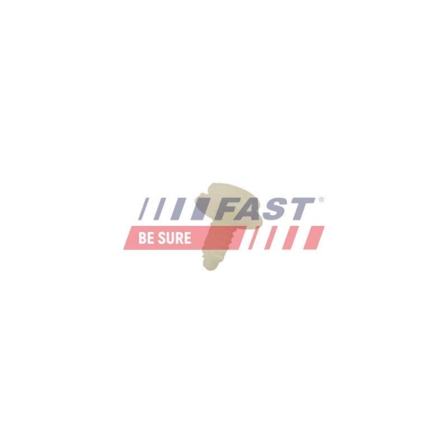 Spreizniet Fast FT96311 f&uuml;r Chrysler Fiat Iveco VW Chevrolet