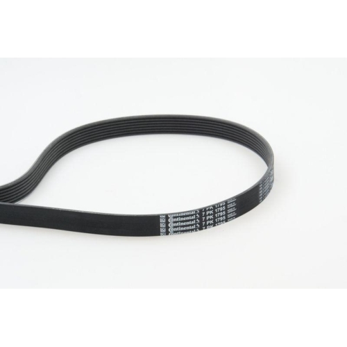 Keilrippenriemen Continental Ctam 7PK1795 für Nissan Opel Renault Vauxhall
