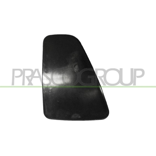 Zierblende Schlussleuchte Prasco FT0322154 für Fiat Links