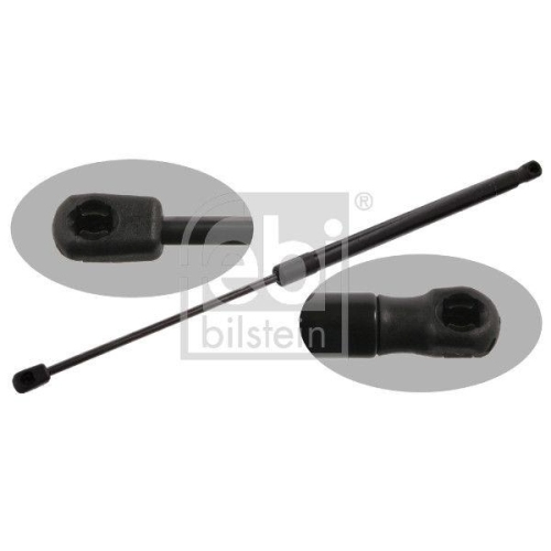 Gas Spring Boot/cargo Area Febi Bilstein 38234 for Ford Ford Usa