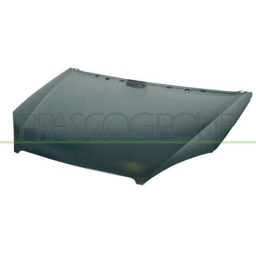 Motorhaube Prasco CI5203100 für Citroën