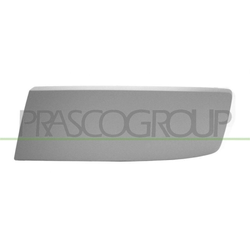 Zier /schutzleiste Sto&szlig;f&auml;nger Prasco VG9191248 f&uuml;r VW Vorne Links