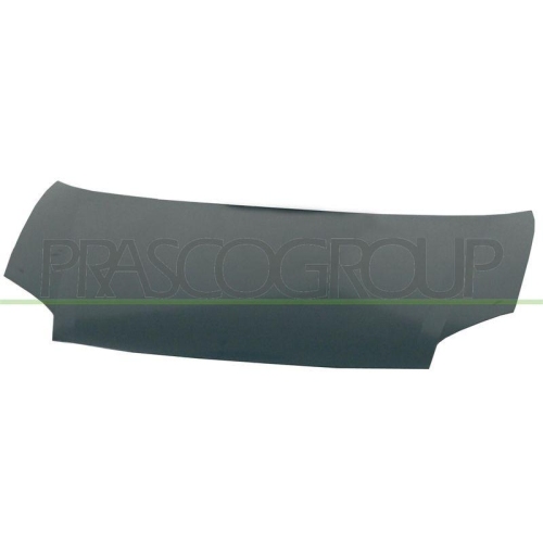 Motorhaube Prasco CI9173100 für Citroën Peugeot