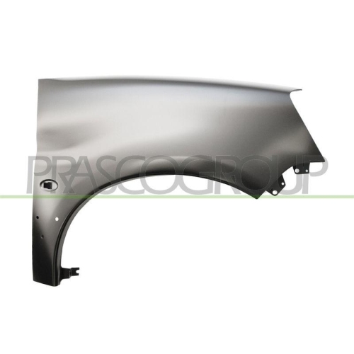 Kotfl&uuml;gel Prasco CI9173024 Premium f&uuml;r Citro&euml;n Vorne Links