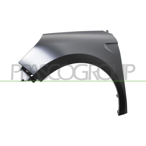 Kotfl&uuml;gel Prasco RN3323014 f&uuml;r Renault Vorne Links