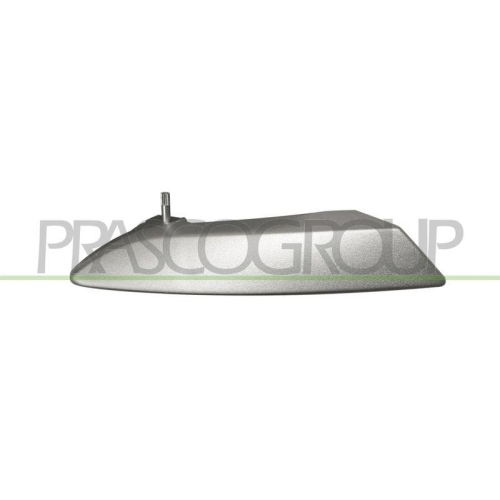 T&uuml;rgriff Innenausstattung Prasco FT3428807 f&uuml;r Fiat Hinten Rechts Vorne Rechts