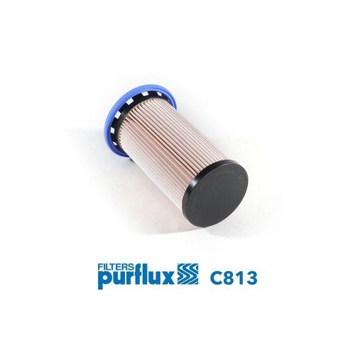 Kraftstofffilter Purflux C813 f&uuml;r Audi Ford Seat Skoda VW Vag