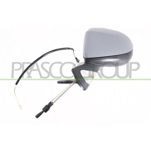 Außenspiegel Prasco RN3107044 für Renault Links