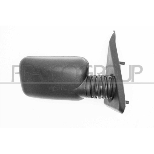 Au&szlig;enspiegel Prasco FT1217003 f&uuml;r Fiat Rechts