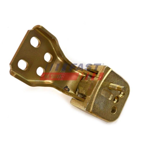 T&uuml;rscharnier Fast FT95443 f&uuml;r Ford Hinten