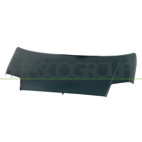 Motorhaube Prasco CI3043100 f&uuml;r Citro&euml;n
