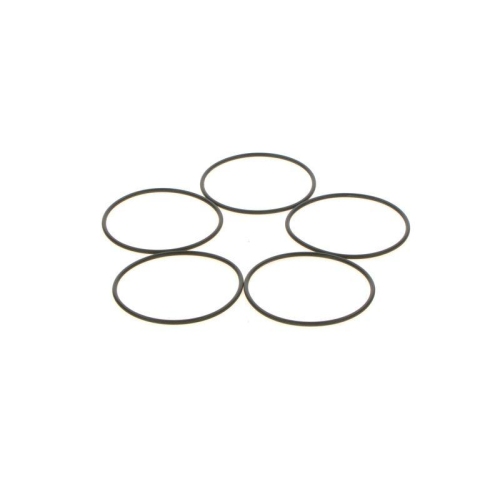 Dichtring Bosch 1410210046 f&uuml;r Berliet Daf Iveco K&auml;ssbohrer Magirus Deutz Man