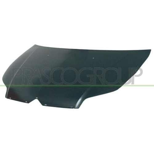 Motorhaube Prasco CI4243100 für Citroën