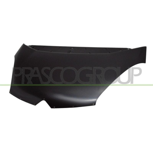 Motorhaube Prasco CI4263100 für Citroën