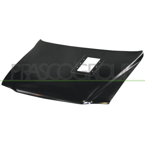 Motorhaube Prasco MB8153110 für Mitsubishi