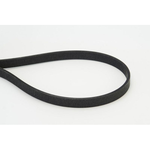 Keilrippenriemen Continental Ctam 6DPK1817 für Bmw Für Fahrzeuge Mit Klimaanlage