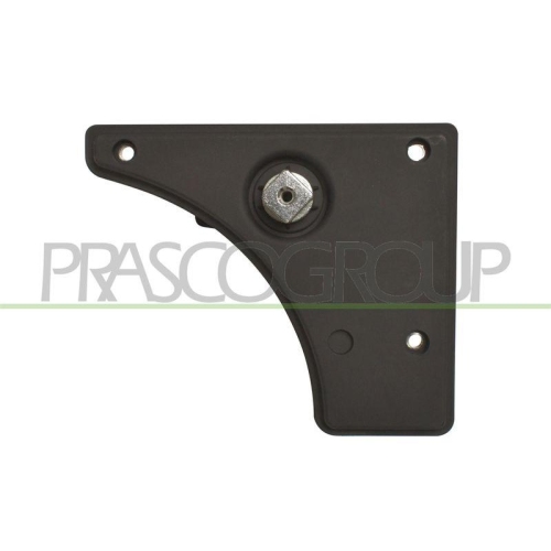 T&uuml;rgriff Innenausstattung Prasco FT9308312 f&uuml;r Citro&euml;n Fiat Peugeot Hinten Links