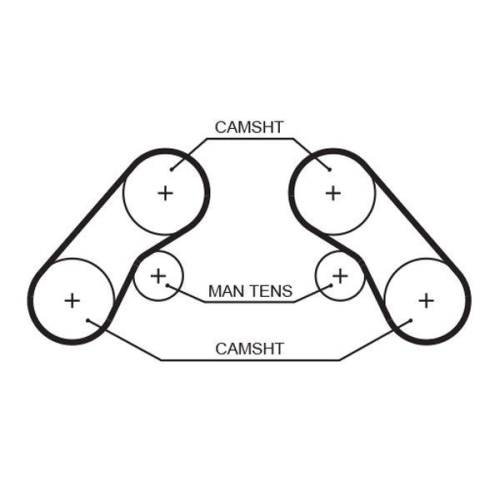 Zahnriemen Gates 5576XS Powergrip&trade; f&uuml;r Kia Links Rechts