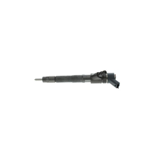 Einspritzd&uuml;se Bosch 0445110248 f&uuml;r Citro&euml;n Iveco Mitsubishi Peugeot Hyundai