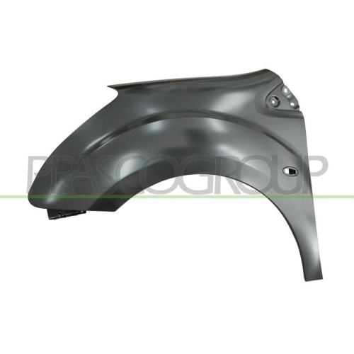 Kotfl&uuml;gel Prasco CI9183014 Premium f&uuml;r Citro&euml;n Peugeot Vorne Links
