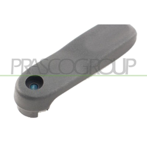 T&uuml;rgriff Innenausstattung Prasco DS9178300 f&uuml;r Nissan Renault Dacia